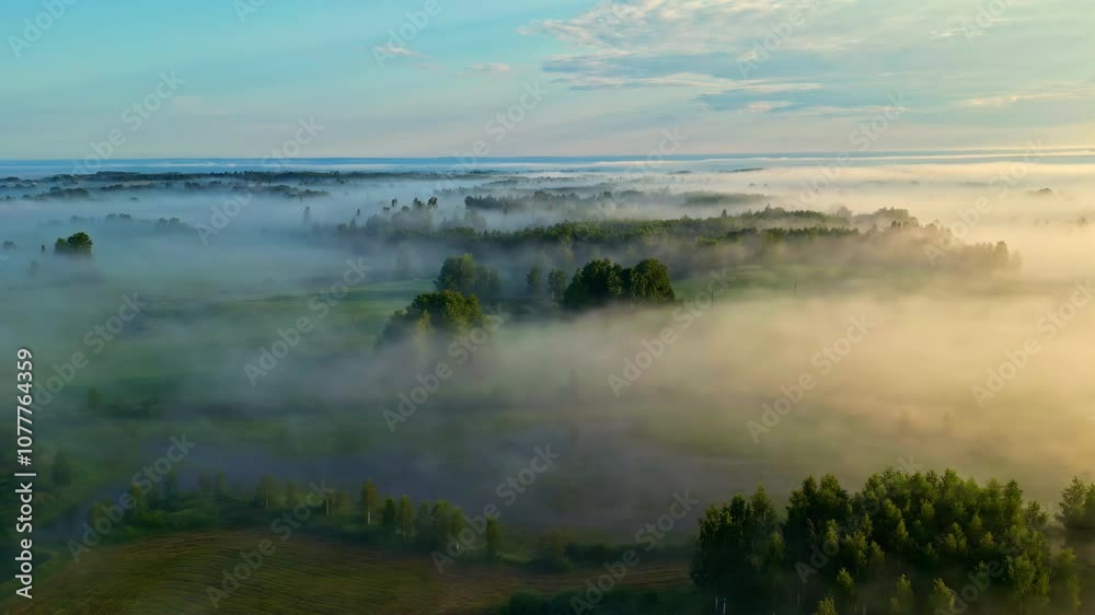 Stunning aerial view of a foggy forest with grassland, sun is making epic light, truck shot to right, copy space Stunning aerial view of a foggy forest with grassland, sun is making epic light, truck shot to right, copy space