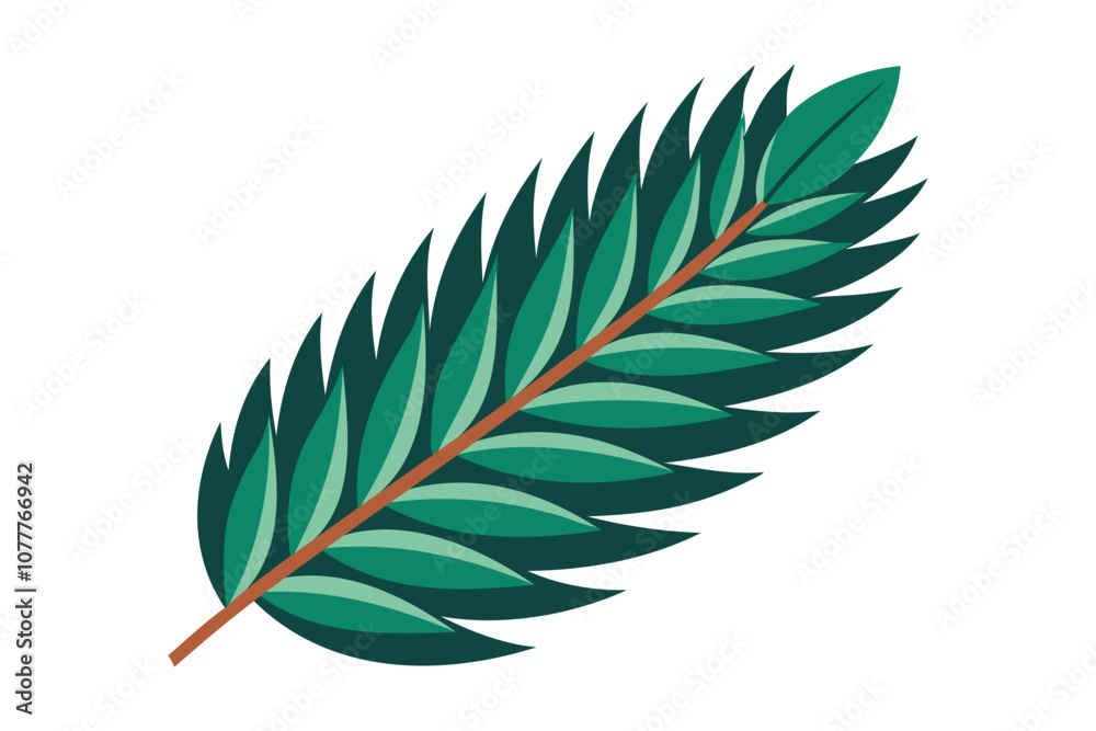 Fototapeta premium pine leaf vector art illustration for botanical and nature design