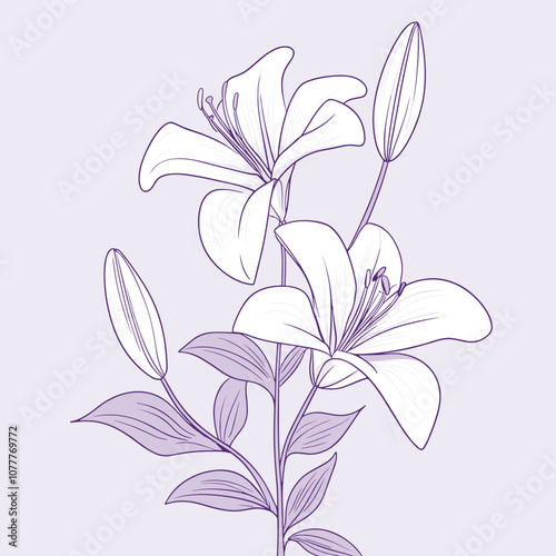 Elegant Lily Flowers - Botanical Line Art on Soft Lavender Background