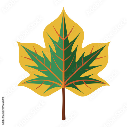 sycamore leaf vector art for botanical and nature designv