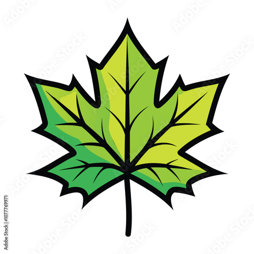 sycamore leaf vector art for botanical and nature designv