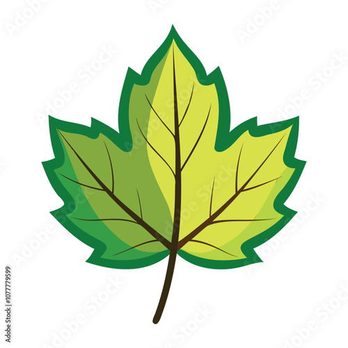 sycamore leaf vector art for botanical and nature design