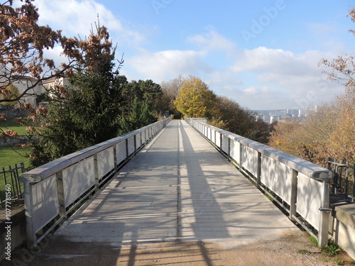 Bridge in autumn - Lyon - France