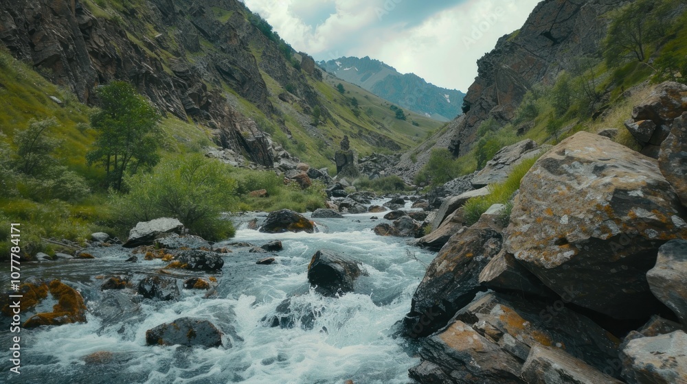 Mountain River in a Lush Valley