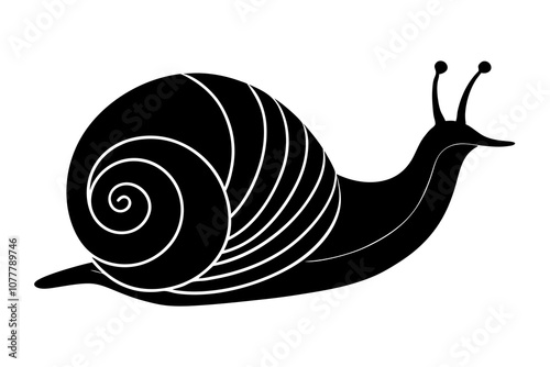 Snail Silhouettes on white background.