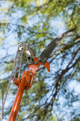 detail of used manual pole saw