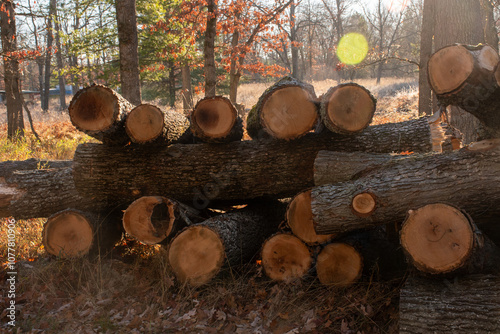 Logs stacked Criss Crossed 