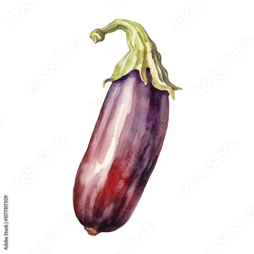 Aubergine watercolor clipart illustration isolated