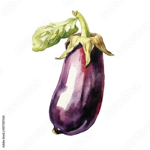 Aubergine watercolor clipart illustration isolated