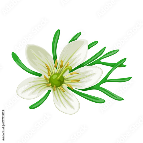 Illustration of Peganum harmala, commonly called wild rue, Syrian rue, African rue, esfand or espand, isolated on white background.