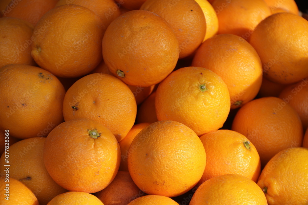 citrus fruits look fresh and sweet citrus fruits look fresh and sweet