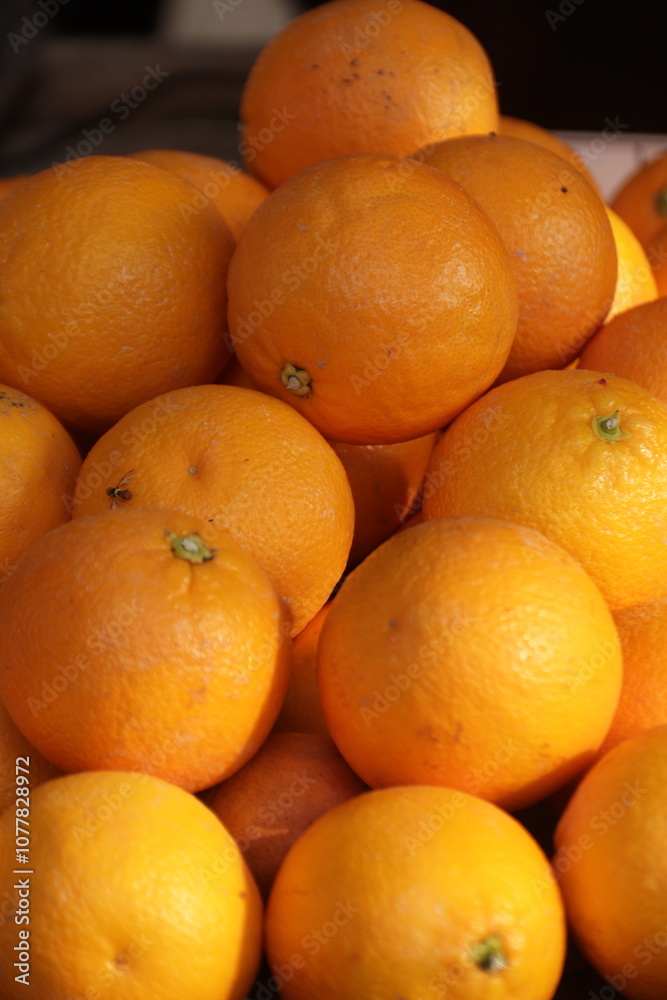 citrus fruits look fresh and sweet citrus fruits look fresh and sweet