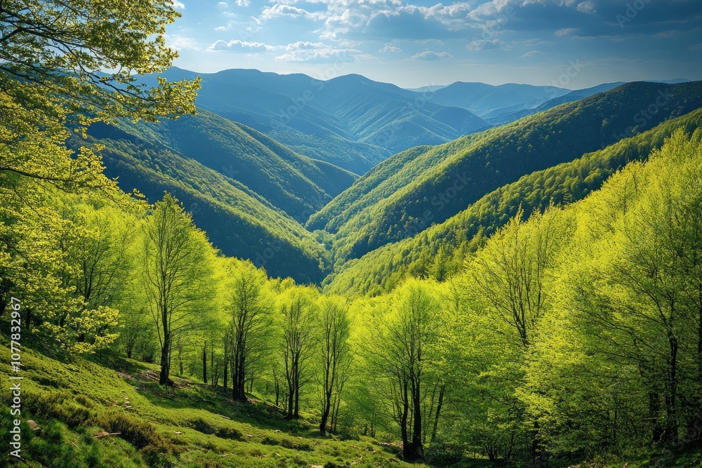 Obraz premium Lush green valleys with rolling hills under a bright sky, showcasing nature's beauty.