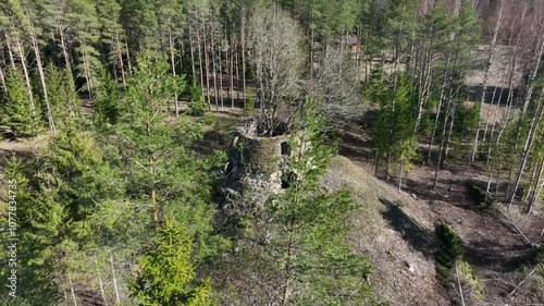 Aerial orbit of old windmill ruins inside which trees have started to grow. Samma village, Estonia. photo