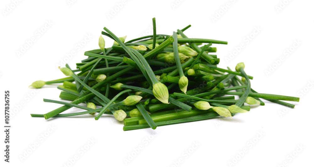 Chives flower or Chinese Chive isolated on white background. Chives flower or Chinese Chive isolated on white background.