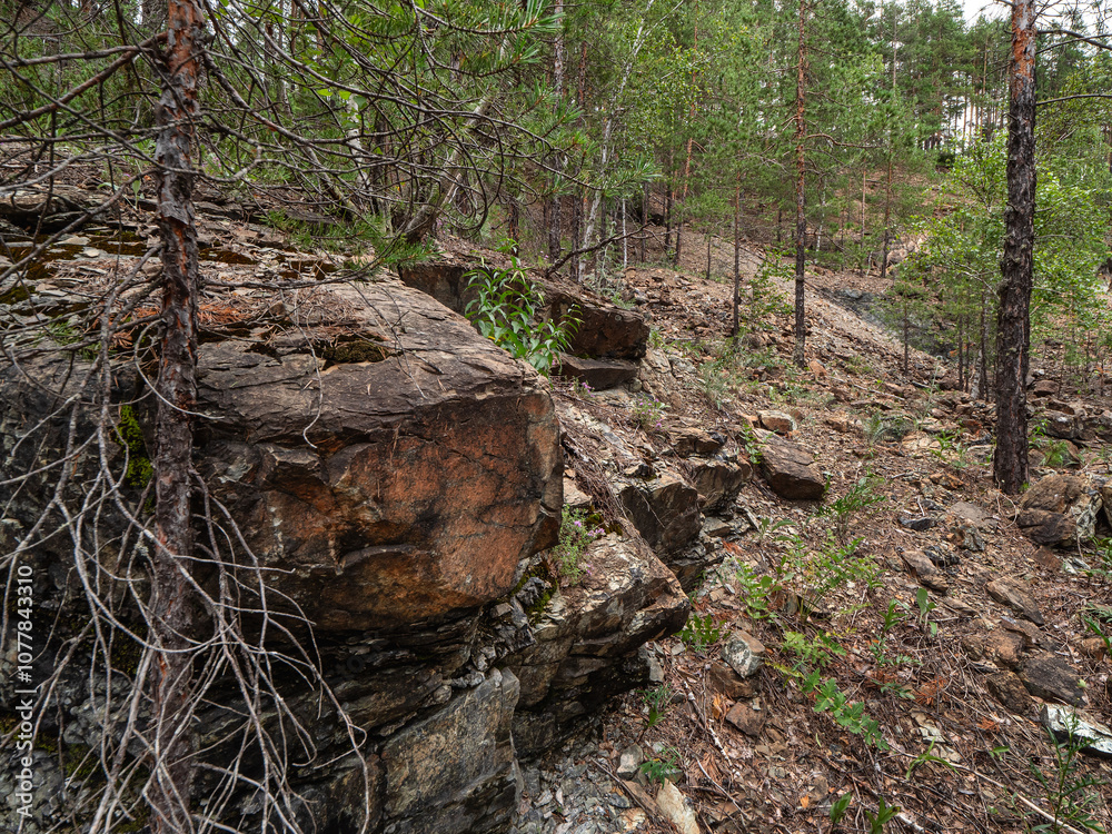 Southern Urals, Bashkir State Nature Reserve: rock dumps at abandoned mines for the extraction of chromite ore under Mount Bashart. Southern Urals, Bashkir State Nature Reserve: rock dumps at abandoned mines for the extraction of chromite ore under Mount Bashart.
