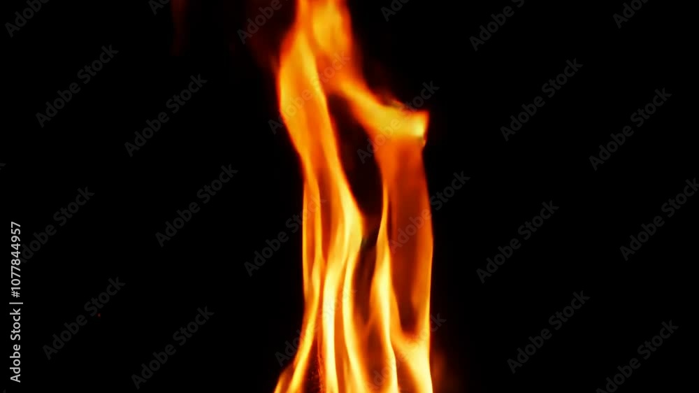 Single Tall Flame Isolated on Dark Background Single Tall Flame Isolated on Dark Background