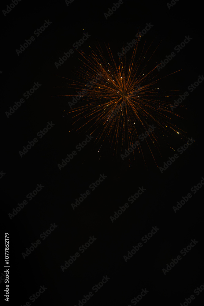 A captivating firework burst illuminates the dark night sky, with golden sparks radiating outward like a star, capturing the festive spirit and beauty of celebration in a single, brilliant display.