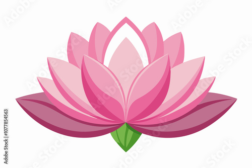 Water lily flower illustration