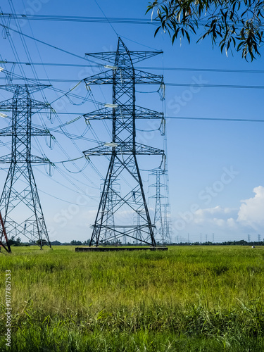 High voltage power lines leading through a green field. Transmission of electricity by means of supports through agricultural areas.