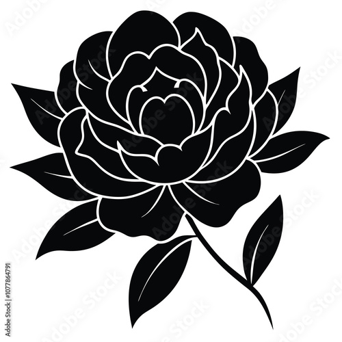 Peony Vector Art.