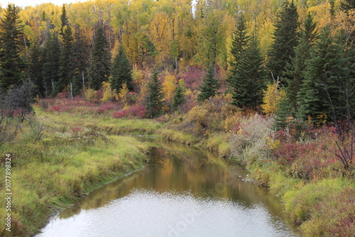 Autumn Along The Creek, Whitemud Park, Edmonton, Alberta photo