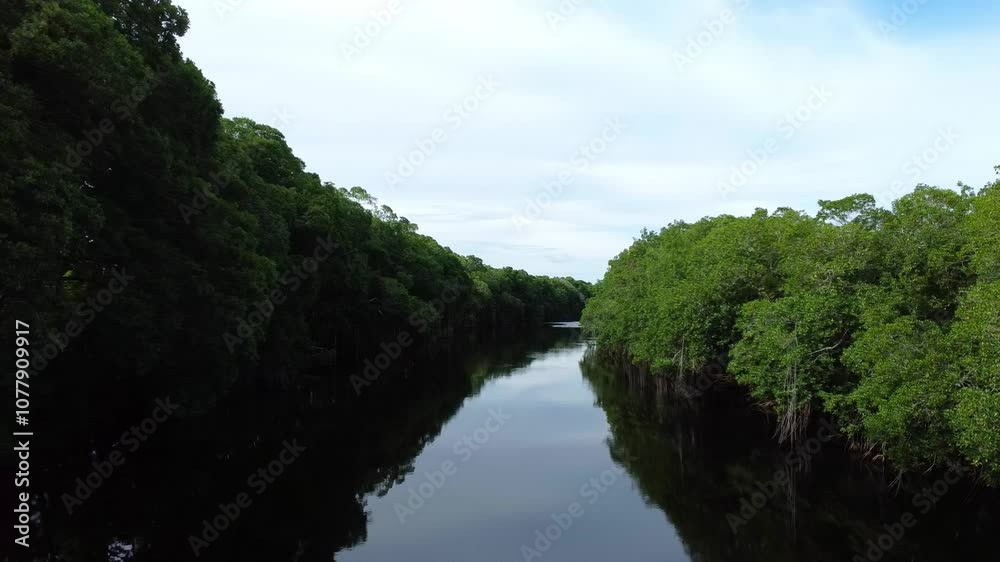 Tranquil lagoon in San Joaquin, Belize surrounded by dense green forest Tranquil lagoon in San Joaquin, Belize surrounded by dense green forest
