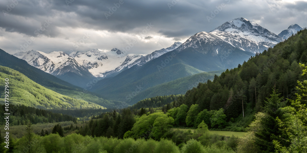Fototapeta premium panorama of the mountains