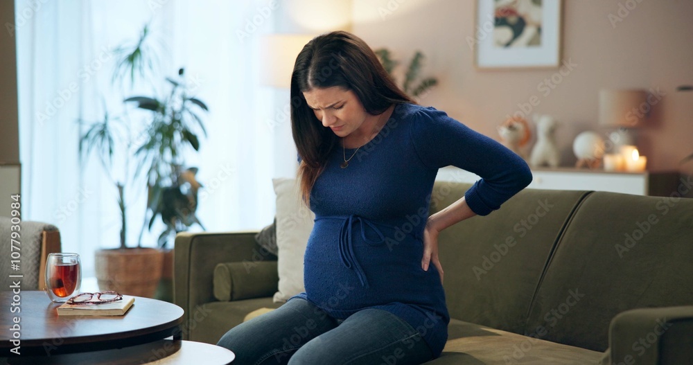 Obraz premium House, pregnant woman and back pain on couch with stress, inflammation and joint tension from pregnancy. Living room, care and spine problem from muscle injury and contractions and anxiety from labor