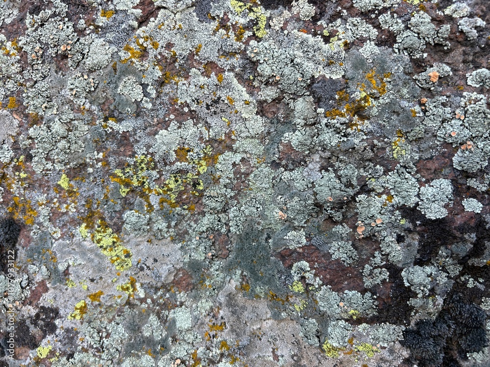 Natural stone texture.  stone texture seamless.