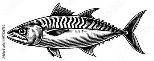 mackerel fish engraving black and white outline
