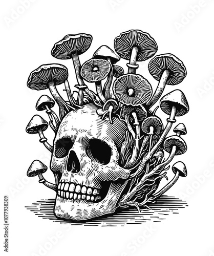 skull with mushrooms growing engraving black and white outline