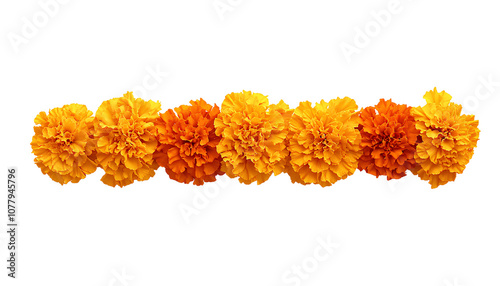 Marigold Flower rangoli Design for Diwali Festival , Indian Festival flower decoration