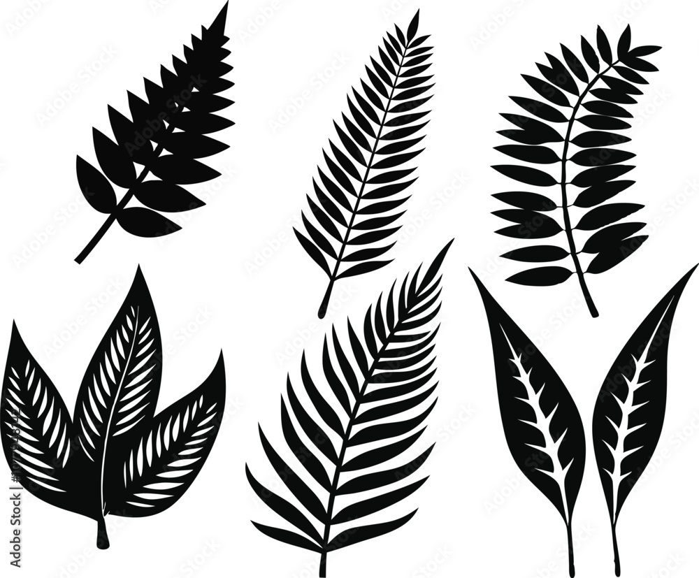 Vector Silhouette Summer Leaf Icons Set of Fern on White Background Vector Silhouette Summer Leaf Icons Set of Fern on White Background