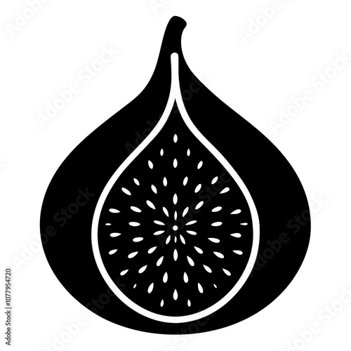 illustration of an fig