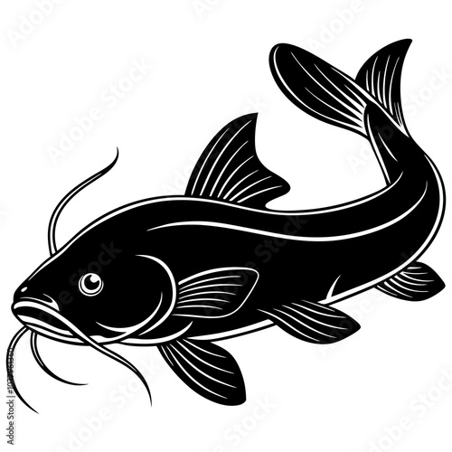 catfish on a white background