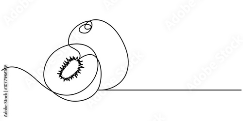 Kiwi fruit whole and a half in continuous line art drawing style. Black line sketch on white background. Vector illustration, Continuous one line drawing of whole and sliced healthy organic kiwi.