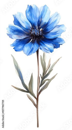 A single blue flower with green leaves isolated on a white background.