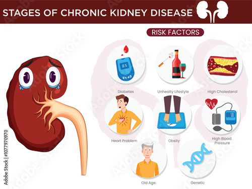 Risk Factors for Chronic Kidney Disease Key Contributors to Kidney Health Decline