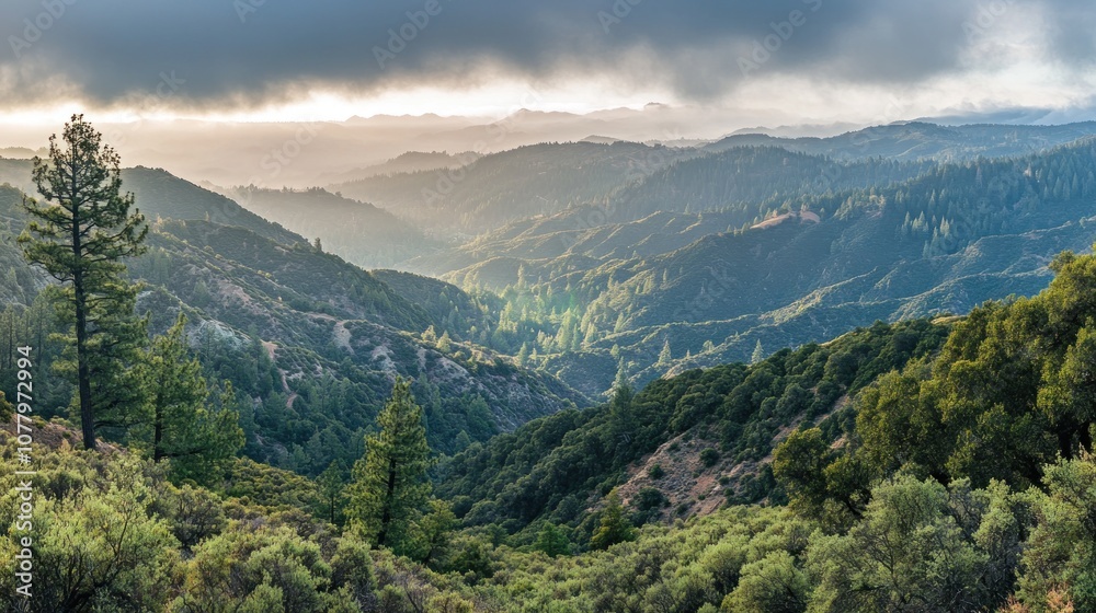 A scenic view of a valley with rolling hills, lush vegetation, and a misty sky.