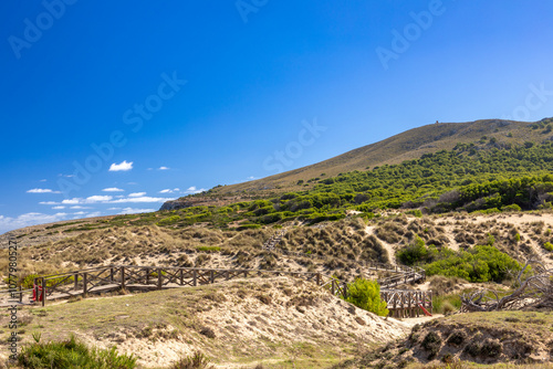 Naturschutzgebiet in den Dünen von Cala Mesquida, Mallorca, Spanien