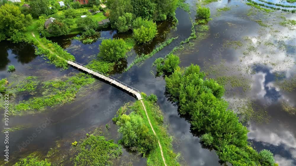 Aerial view overlooking a wooden bridge in middle of overgrown flooding nature Aerial view overlooking a wooden bridge in middle of overgrown flooding nature
