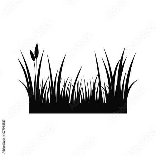 Grass silhouette vector illustration - Grasses Line Clipart Design
