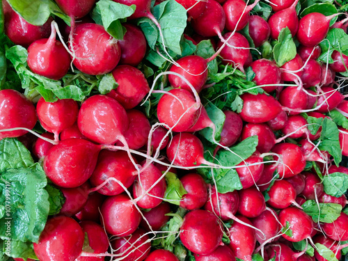 Picture of bunches of radishes on display at the supermarket.