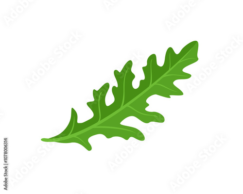 Arugula isolated on white. Green fragrant herb icon. Vector cartoon flat illustration.