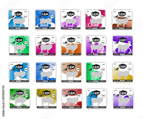 Business promotion and Fashion, cow social media post design bundle template