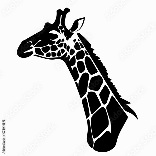 Silhouette of the head and neck giraffe black on white background. Vector image. Concept animal of africa, savannah photo