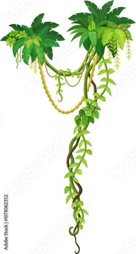 Jungle rain forest liana vine branch and leaves. Amazon rain forest nature vine shrub branch isolated cartoon vector spacer, tropical jungle creeper liana twig, Amazon flora ivy plant twig line