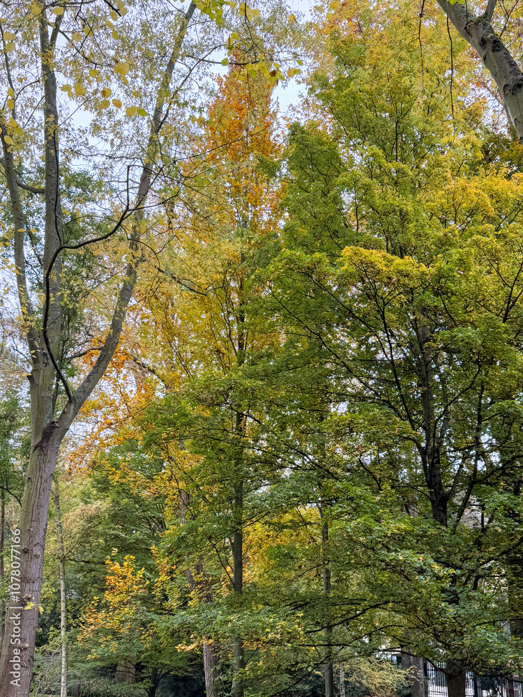 Fototapeta premium 世界周遊 パリ16区アルバートカーン美術館