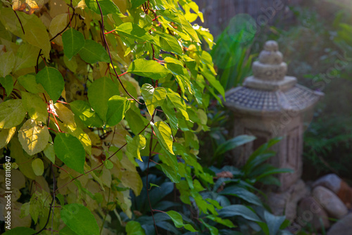 Fragment of Japanese style garden  in sunny day  with bokeh and japanese weatherproof garden lights . The sun illuminate the tall green bush and shine through foliages photo